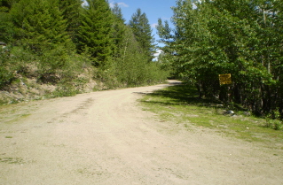 Start of the logging road to Brent Mtn 2010-07.